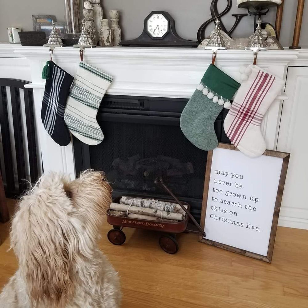 Meet your Posher, Bridgette